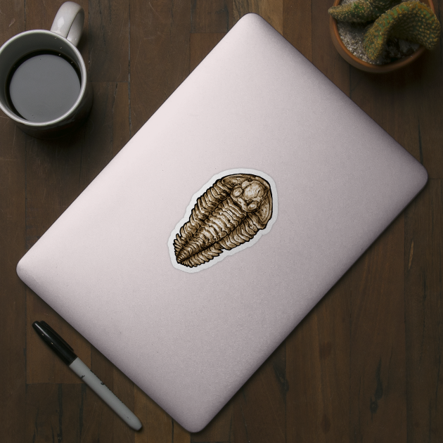 Calymene Trilobite Fossil Sticker by CassWArt